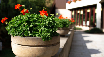 Уличные вазоны для дачи и сада